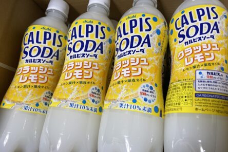 カルピスソーダクラッシュレモンのイメージ