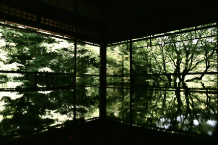 旅のフィルム①のイメージ