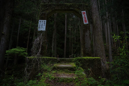 旅と大自然とのイメージ