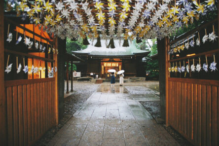 雨の川越氷川神社のイメージ